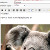 Immagine Html