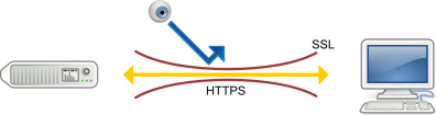 Principio di funzionamento di SSL Standard