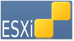 Disponibili su ESXi 4.0 e 4.1